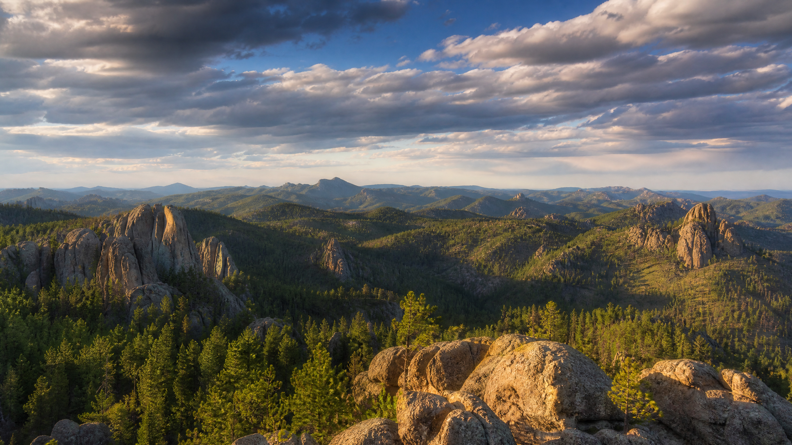 Black Hills South Dakota landscape